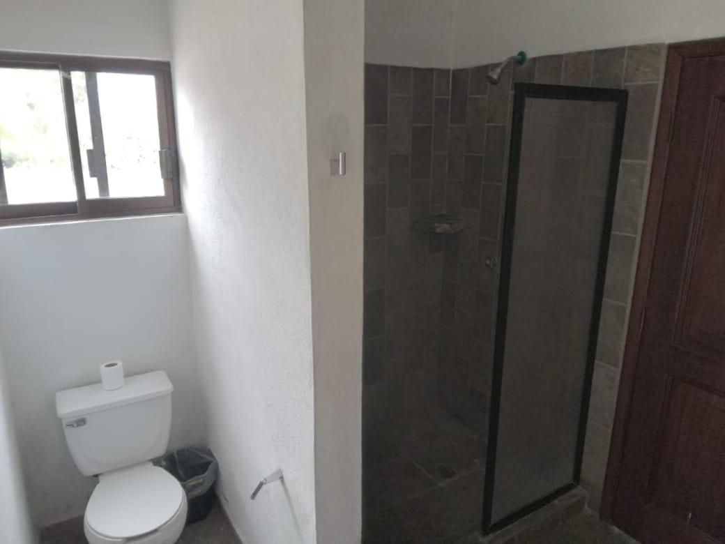 Hotel Casona à San José del Cabo Extérieur photo